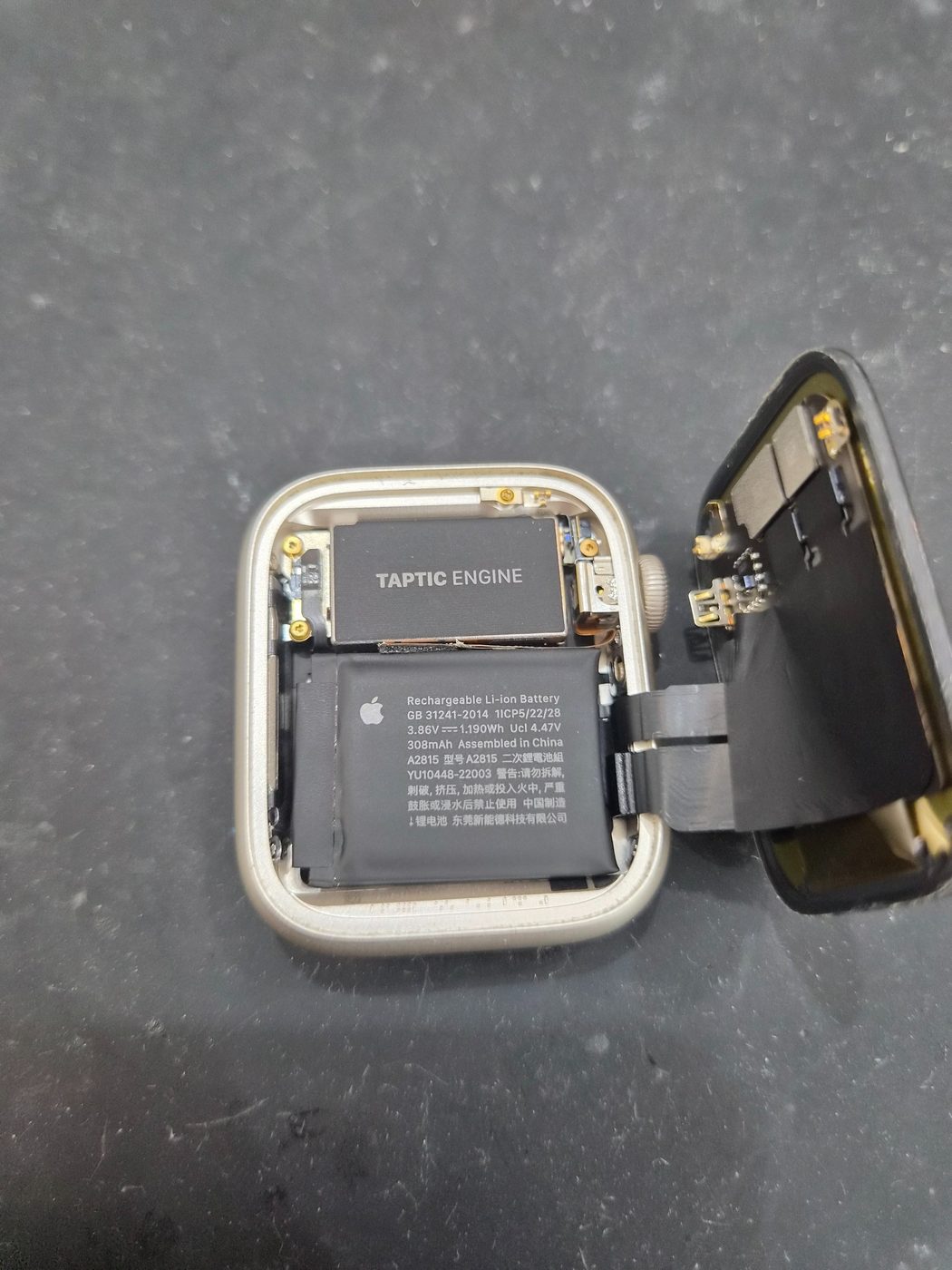 애플워치 Apple Watch Series 8 (45mm) 내부 분해