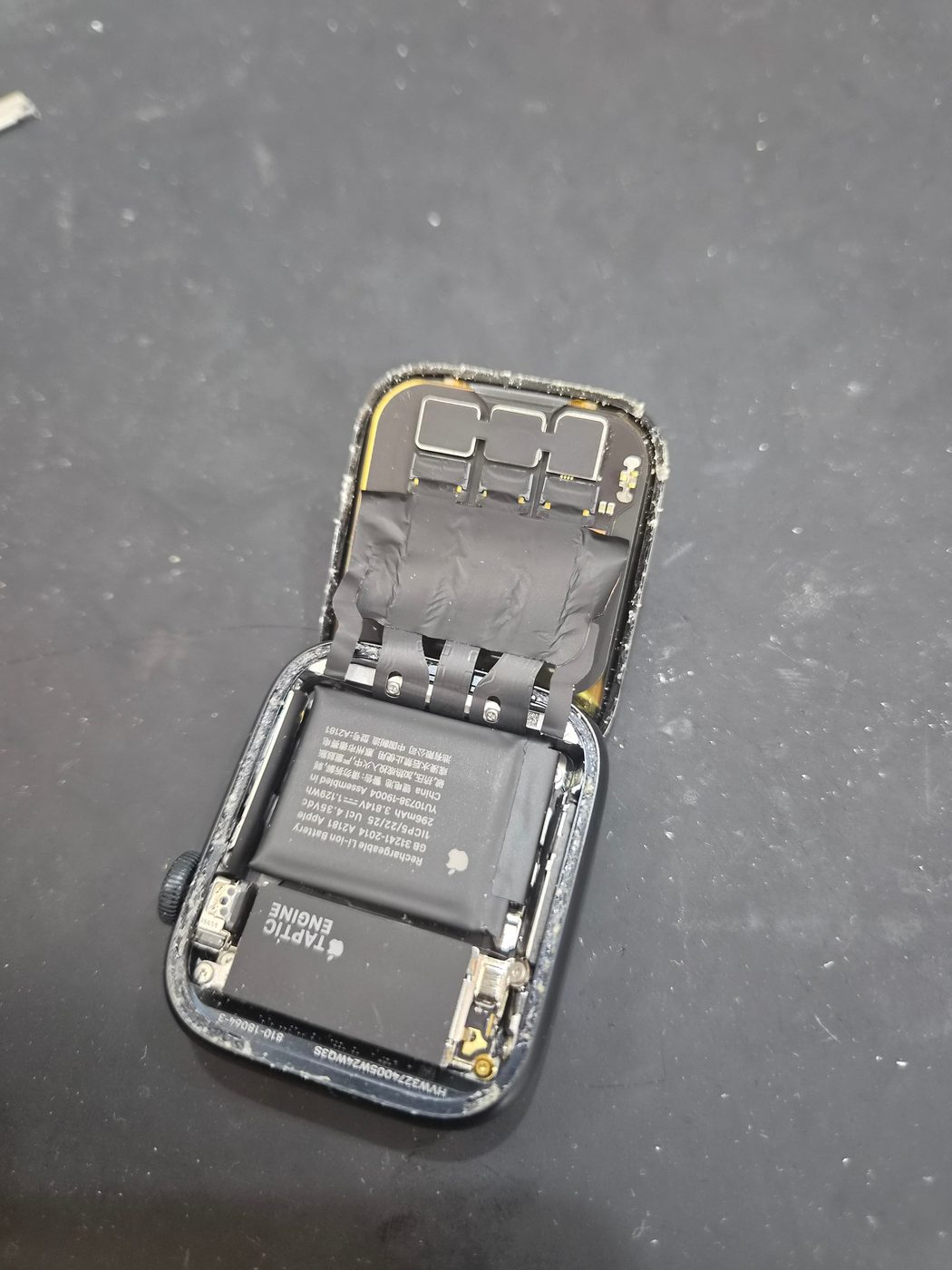 애플워치 Apple Watch SE (2세대) 내부 분해